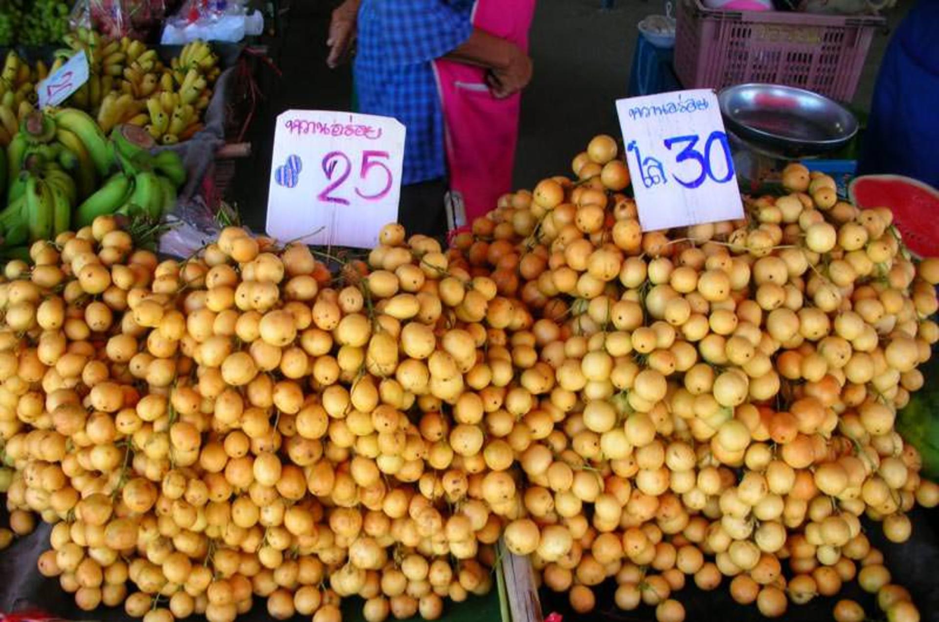 بان پونگ