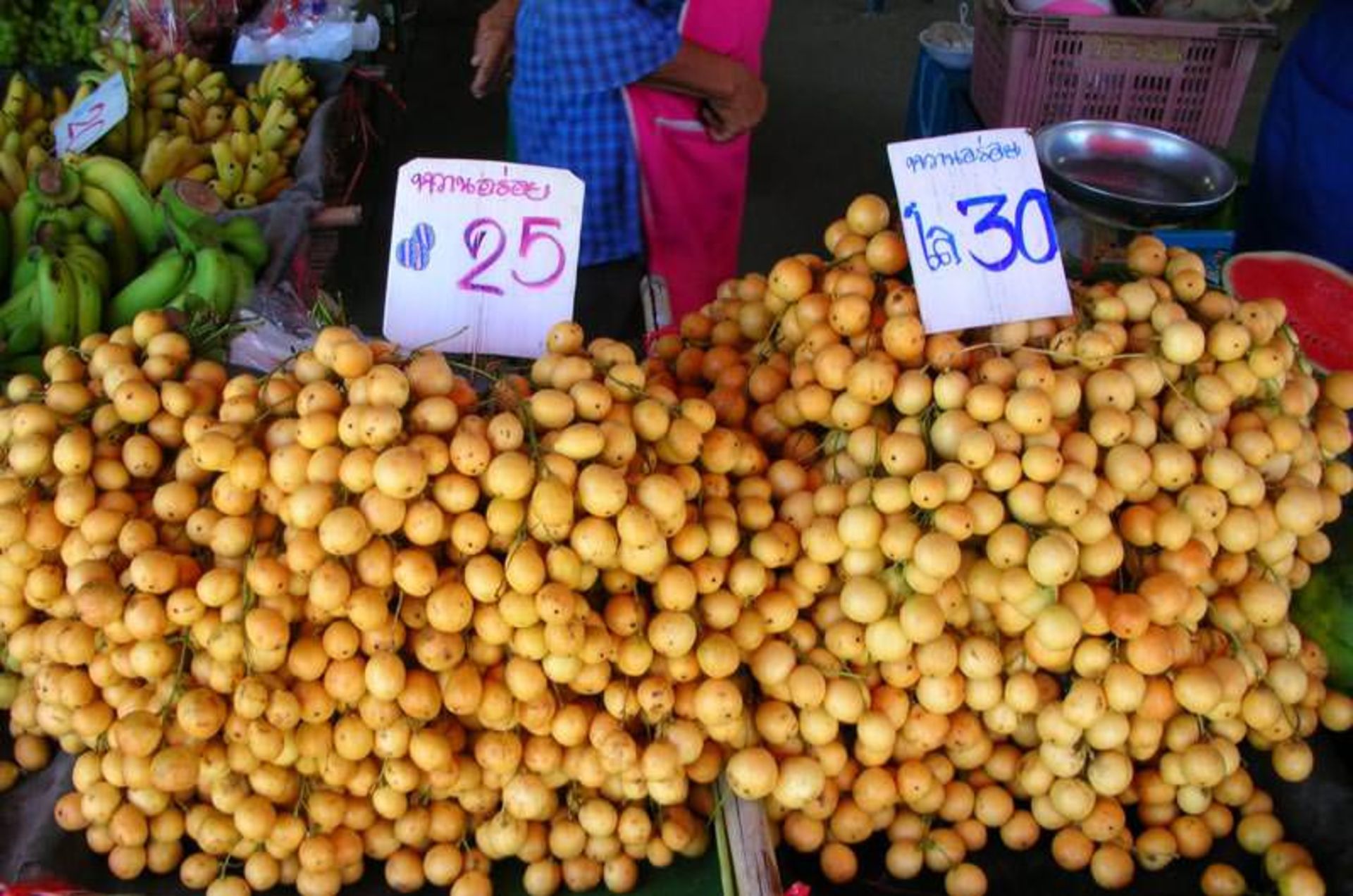 بان پونگ