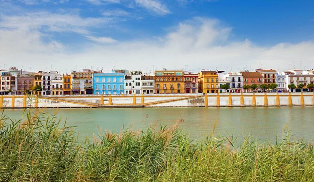 سویا