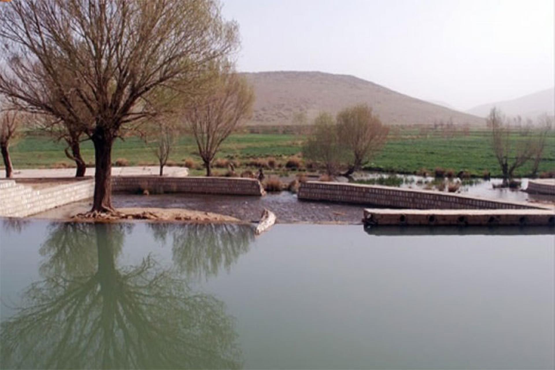 سراب فش
