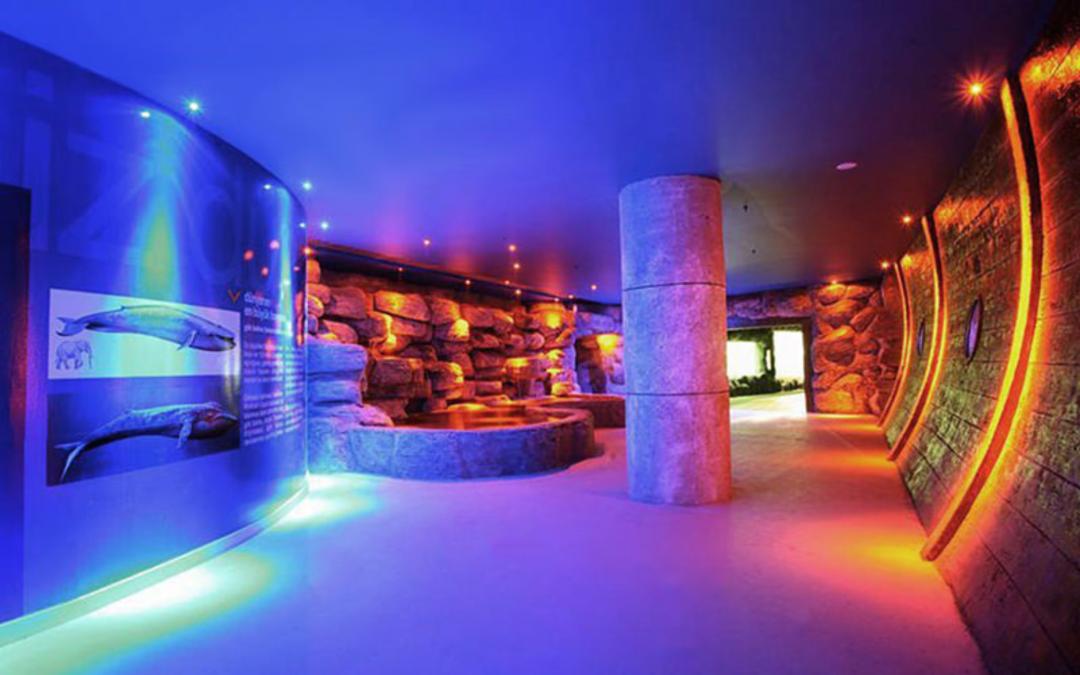 آکواریوم آکوا وگا (Aqua Vega Aquarium)