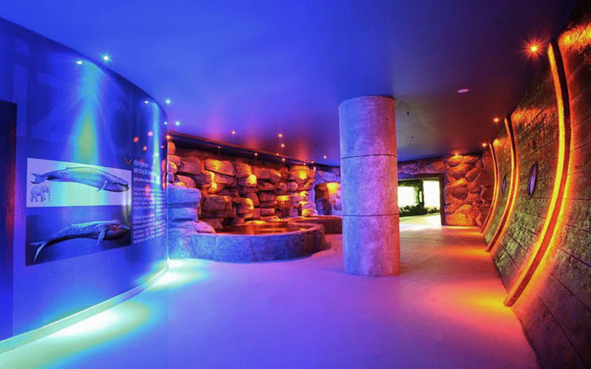 آکواریوم آکوا وگا (Aqua Vega Aquarium)