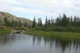 Meta Lake loop