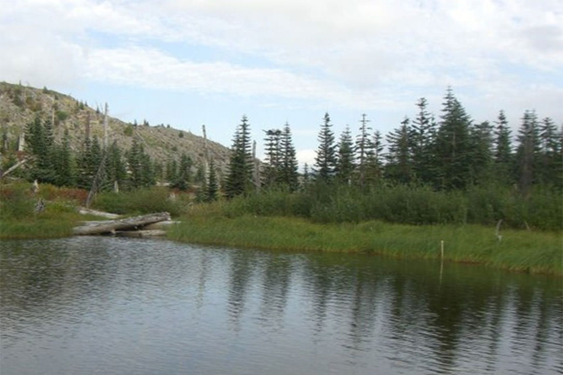 Meta Lake loop