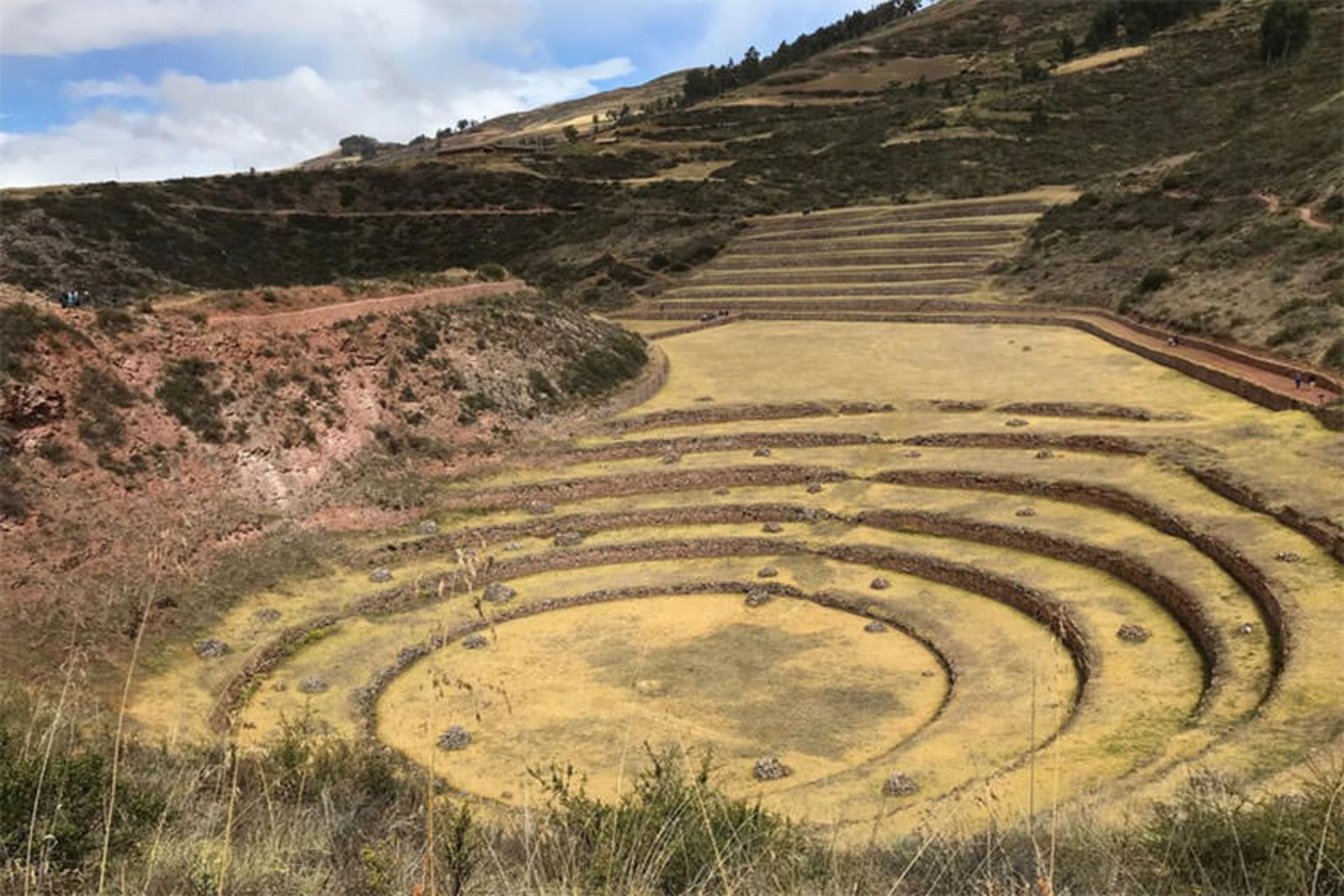 Moray 
