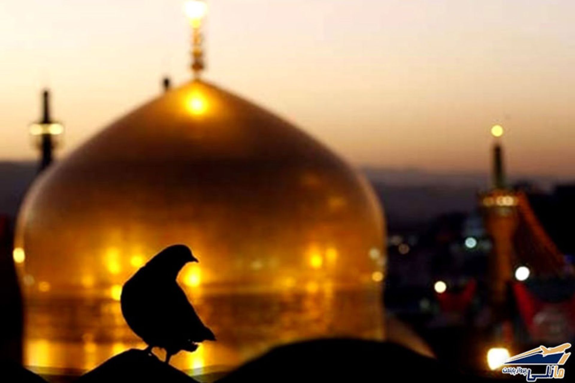 تور مشهد