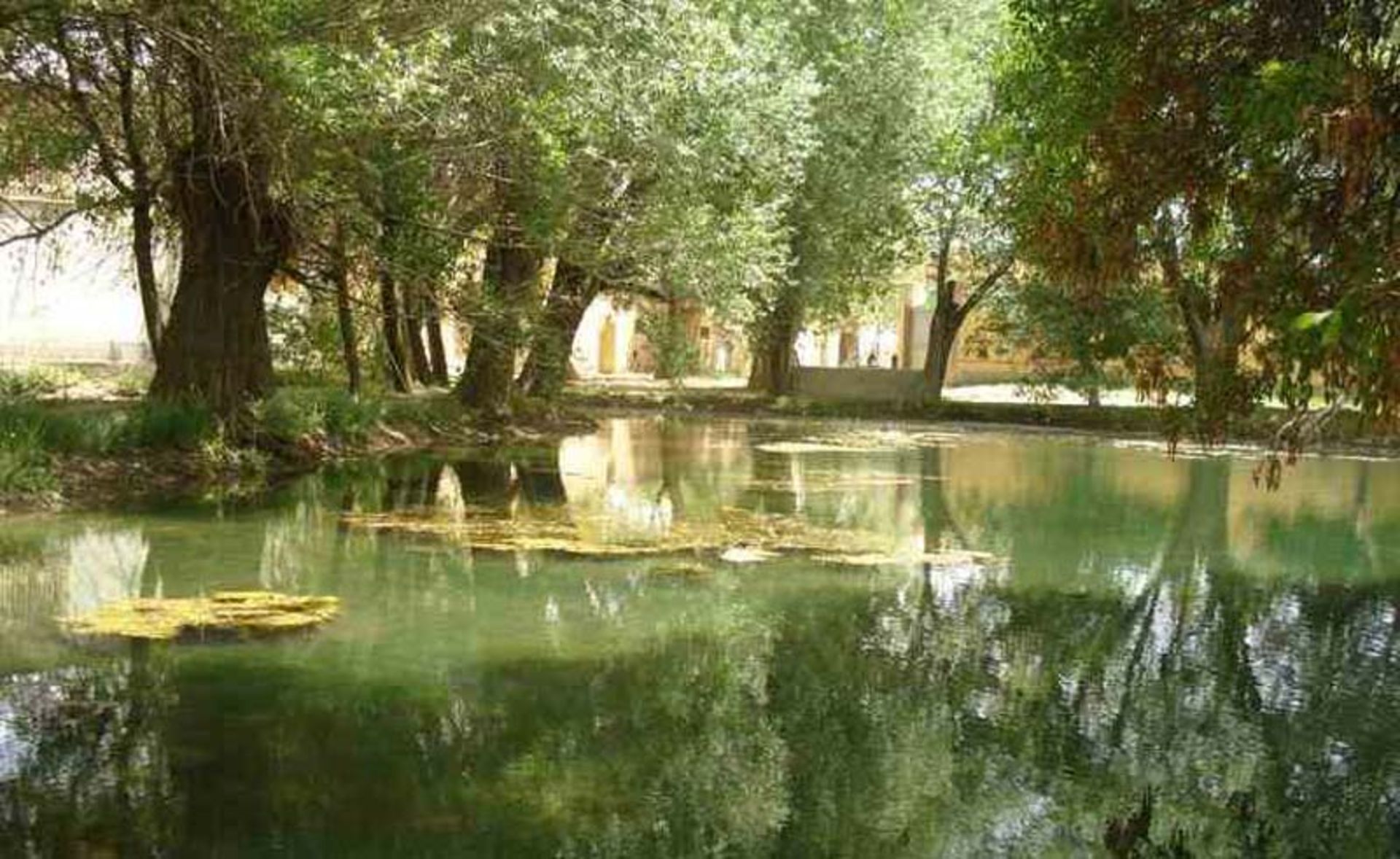 استان مرکزی