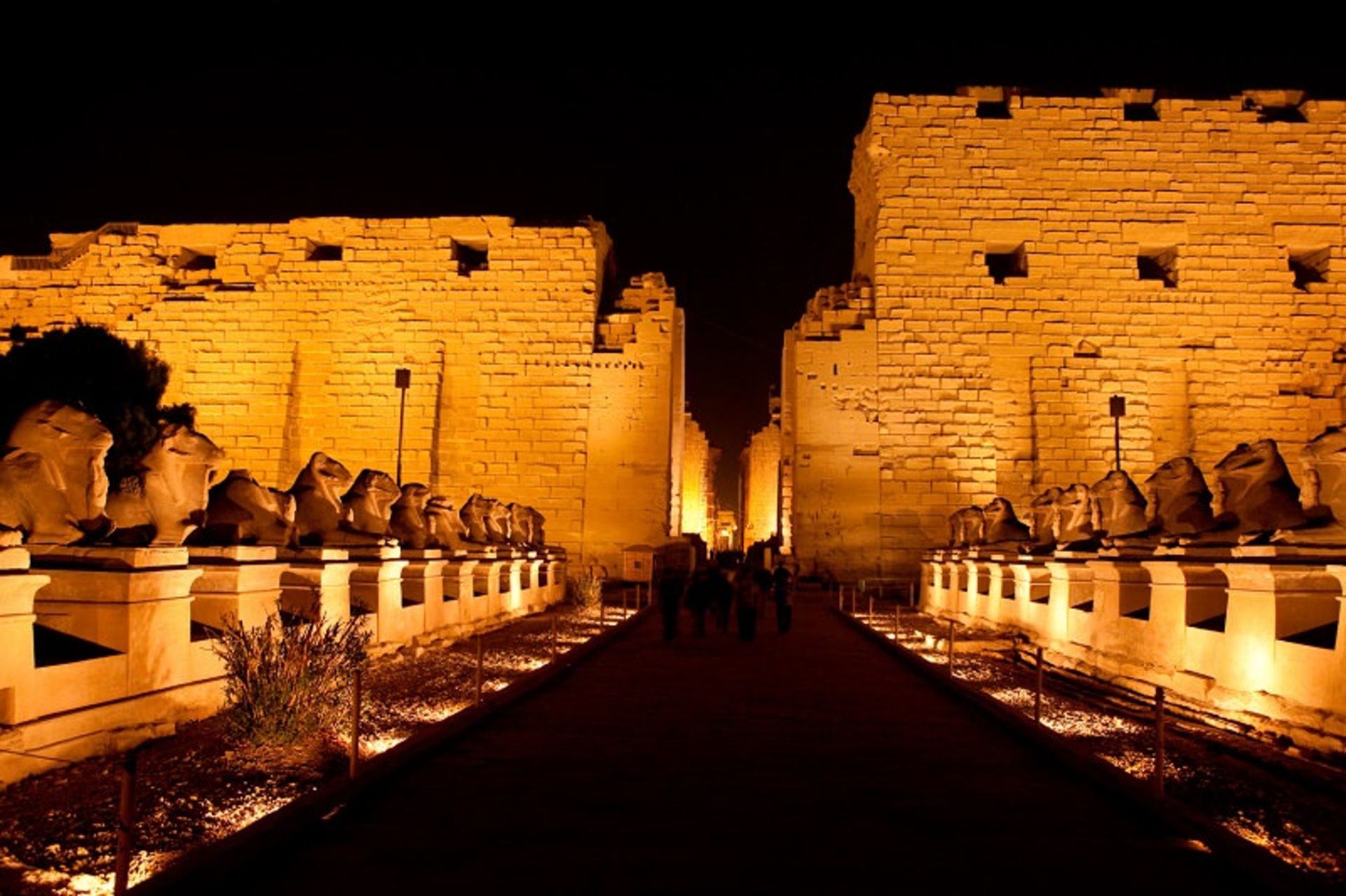 مصر