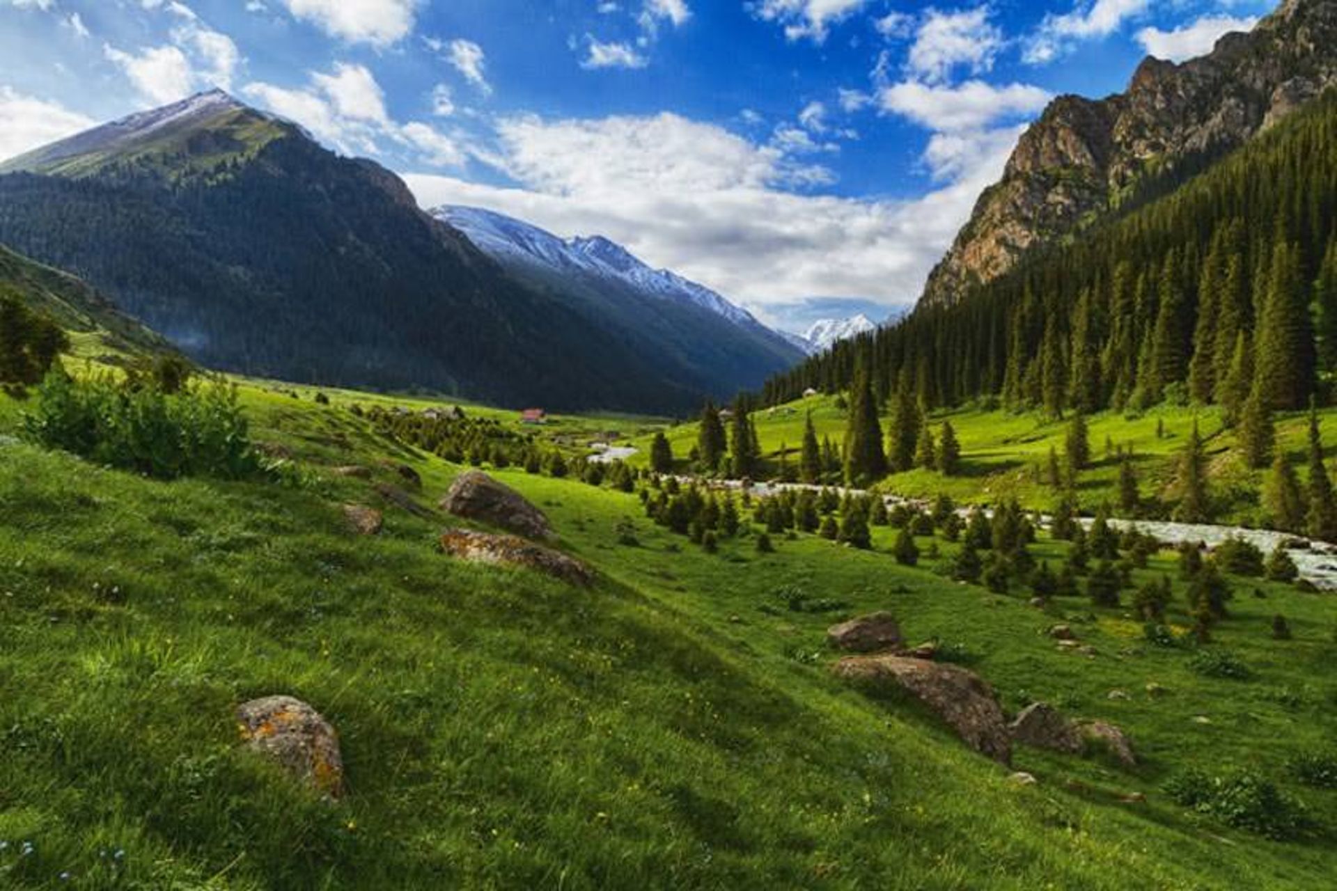 آلتین آرشان