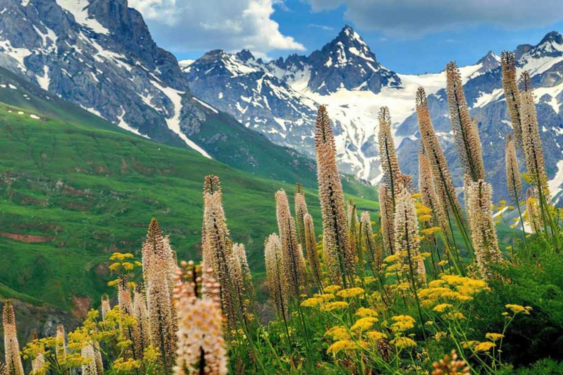 دایرکتوری تاجیکستان