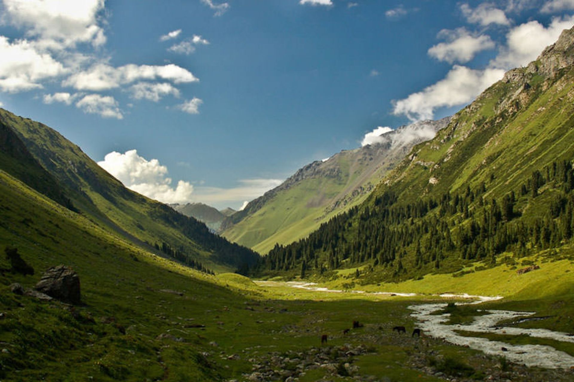 پارک ملی آلا آرچا