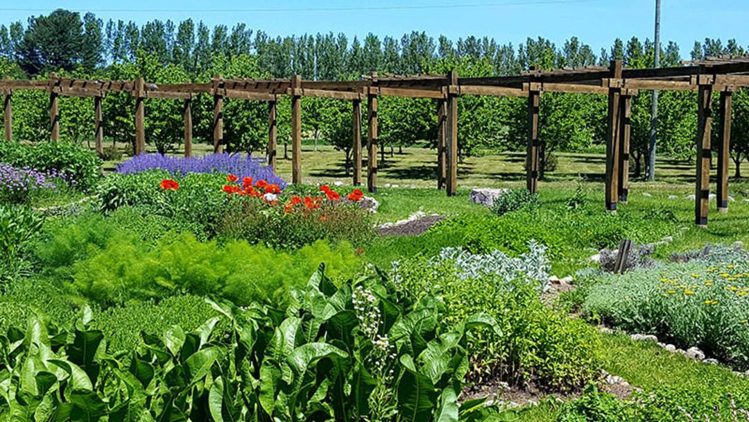 باغ مدیترانه ای
