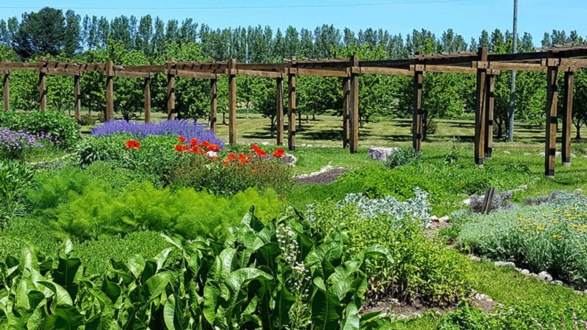 باغ مدیترانه ای
