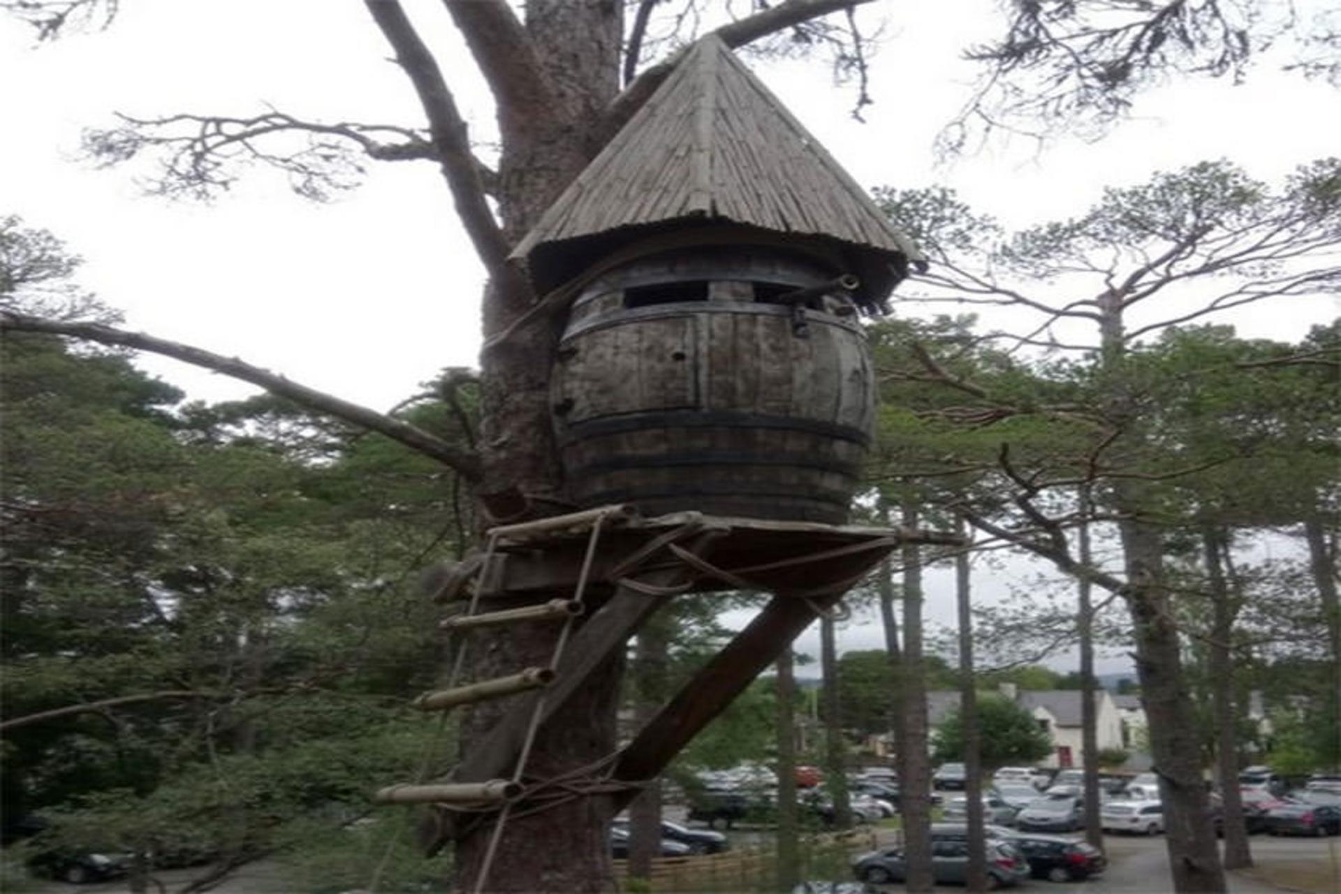 Landmark Forest Adventure Park