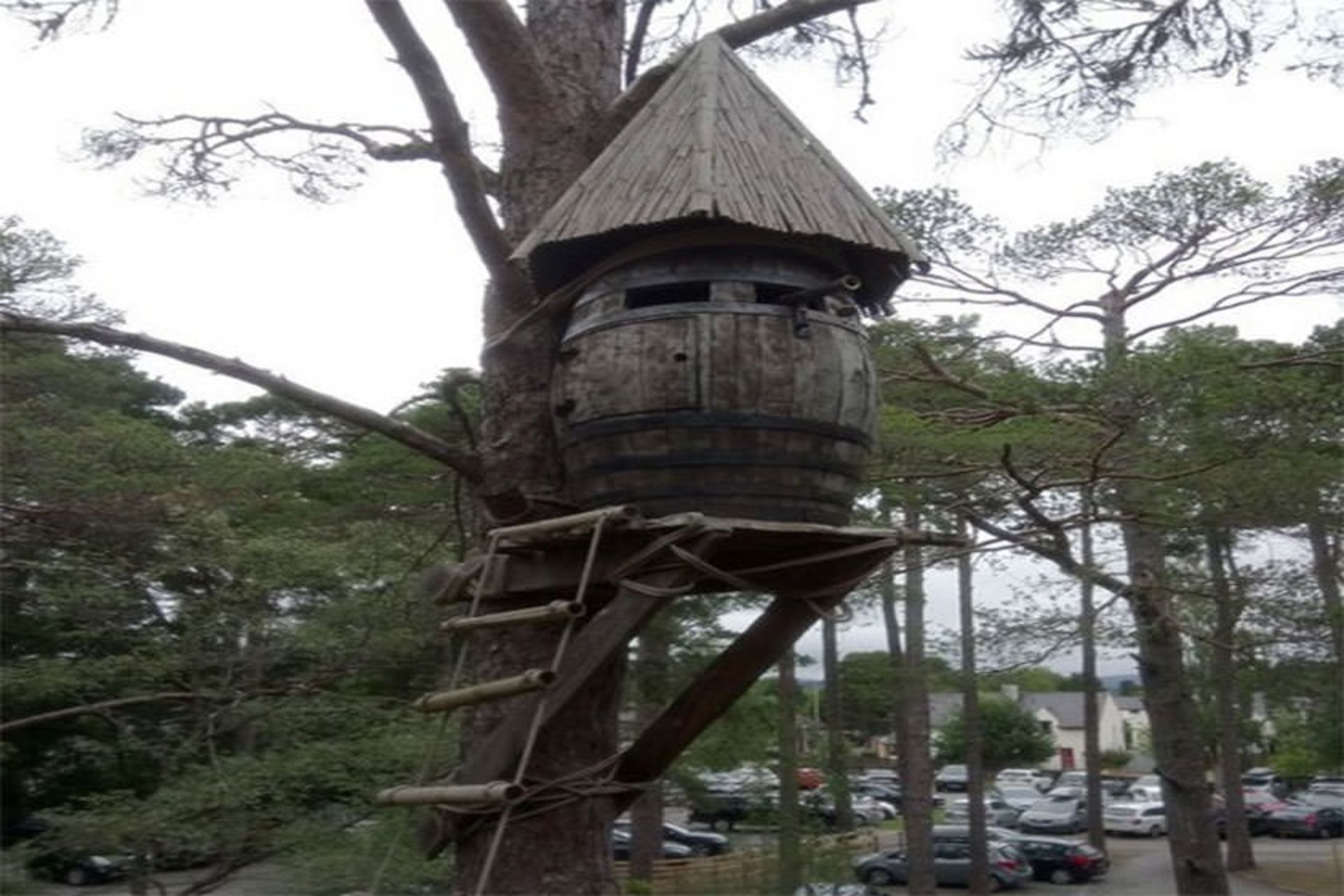 Landmark Forest Adventure Park