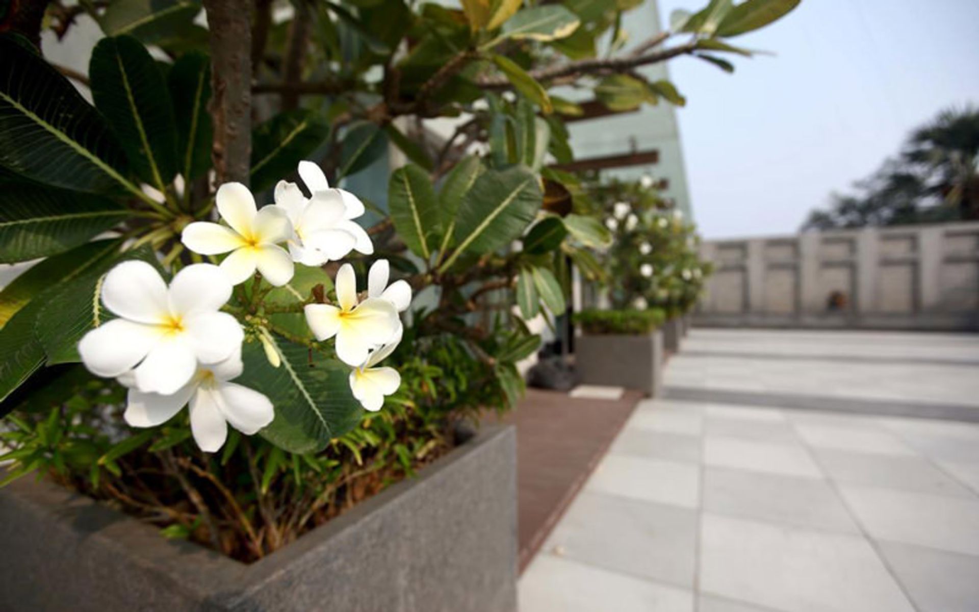 هتل میریج (Mirage Hotel)