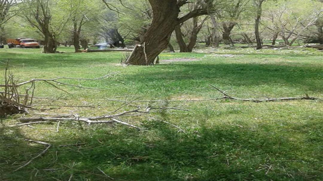 چهار باغ گروس
