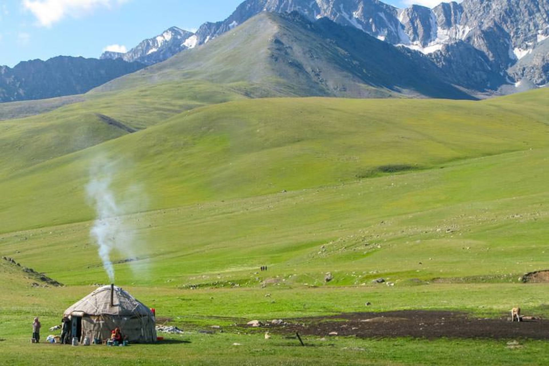 آلتین آرشان