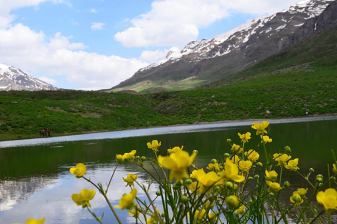 دریاچه کوه گل