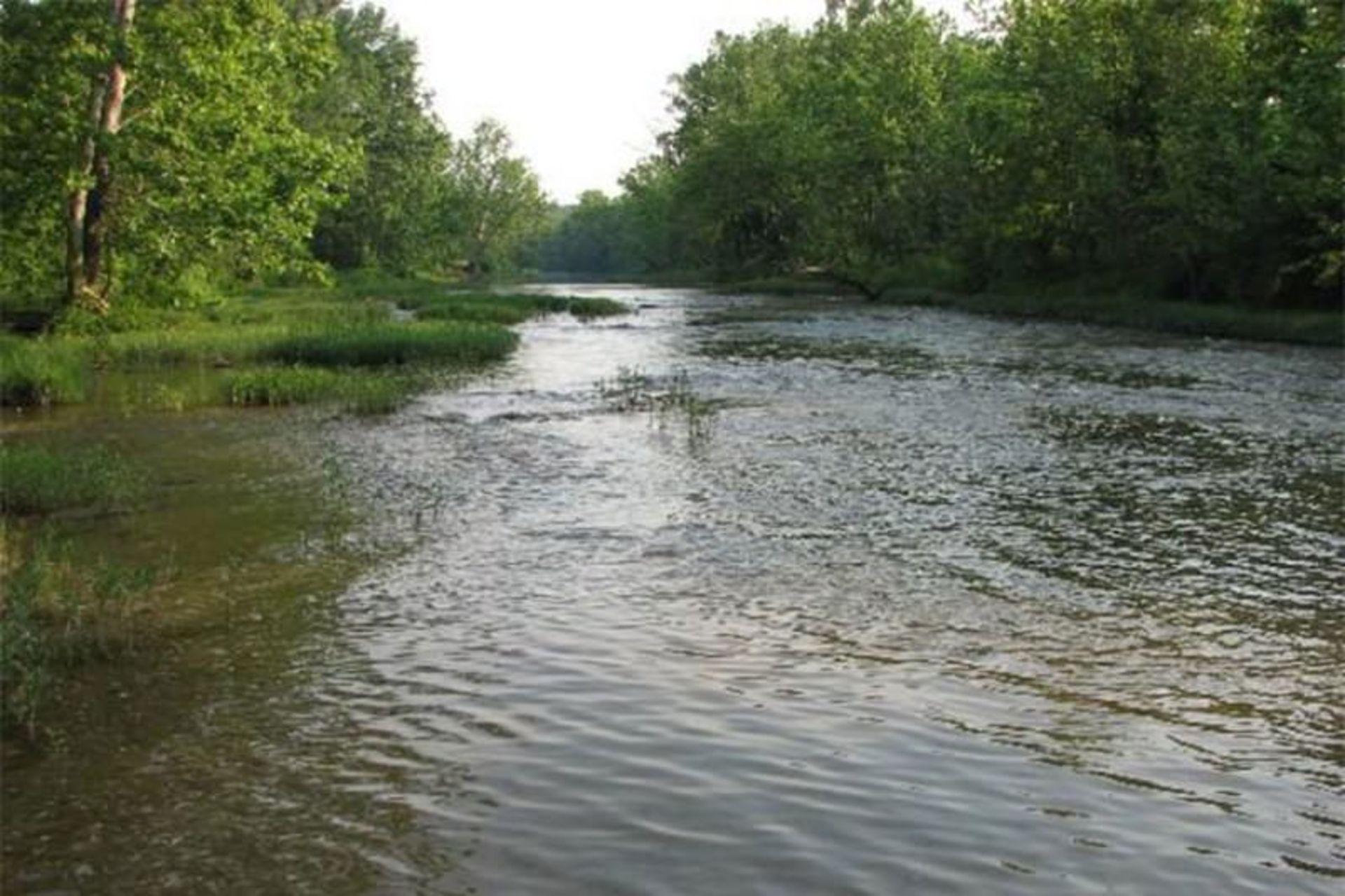سیمینه-رود