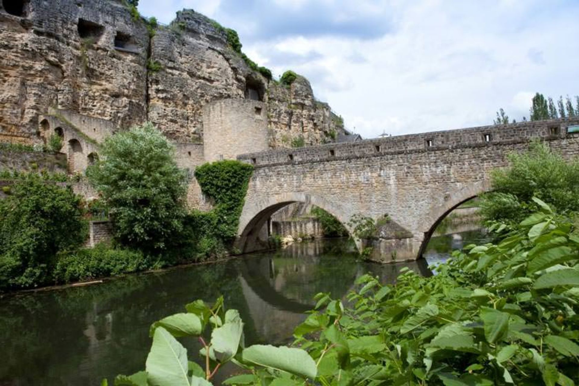 پناهگاه بوک