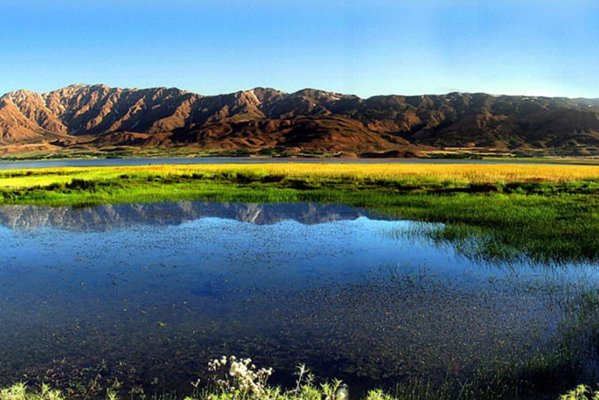تالاب گندمان