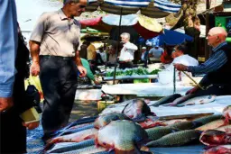 بازار سپه انزلی