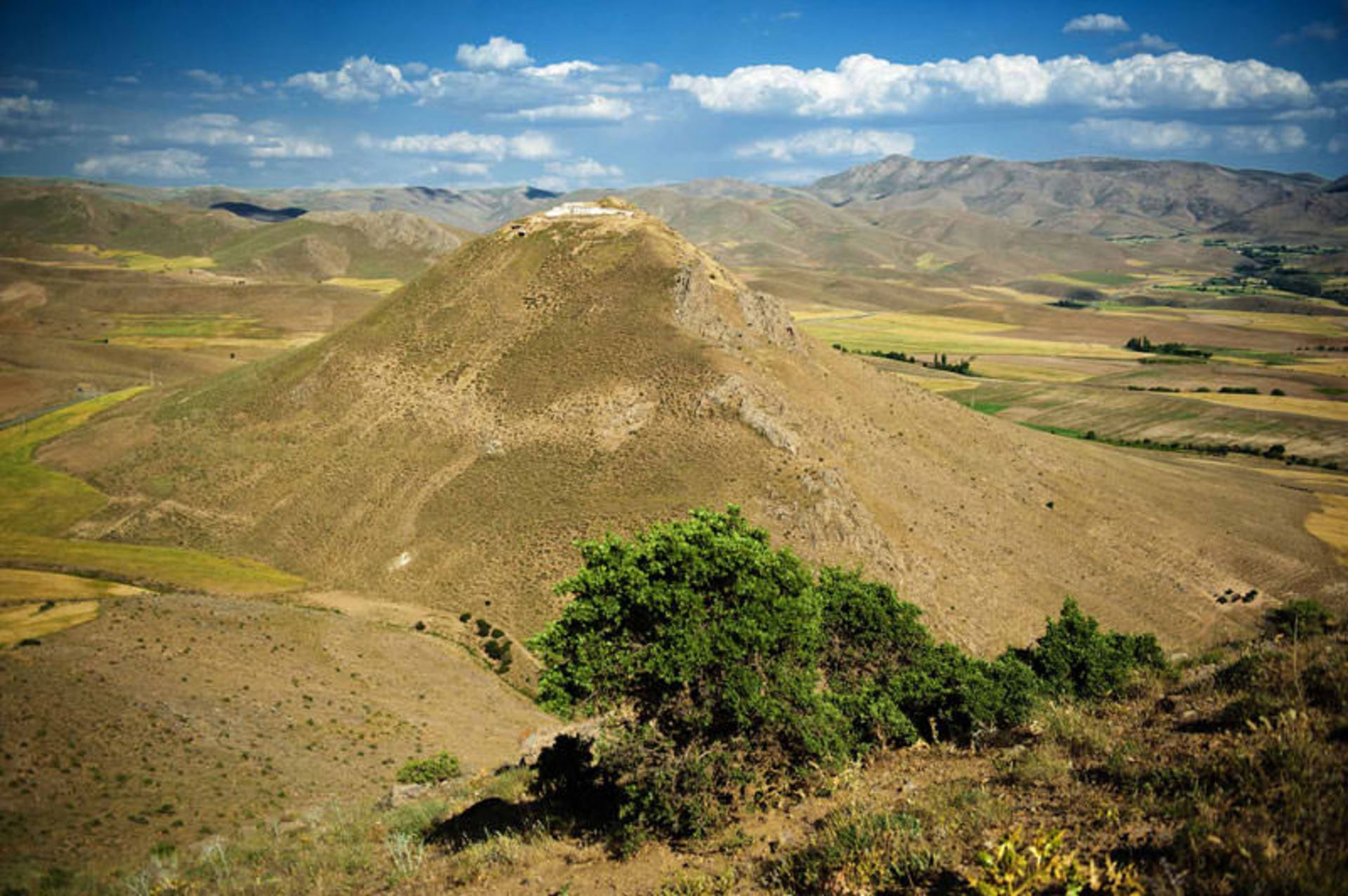 تپه زیویه