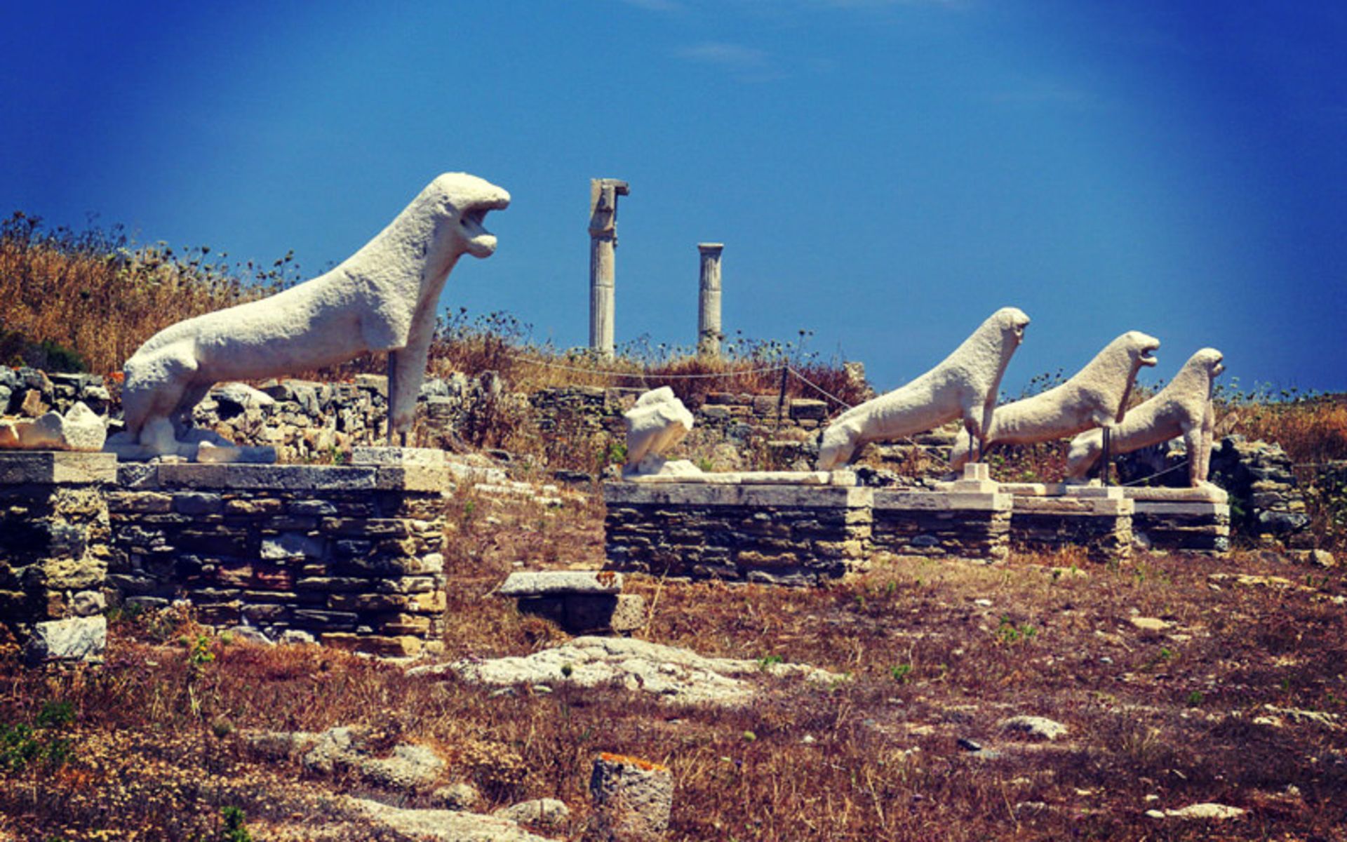تراس شیرها (Terrace of the Lions)