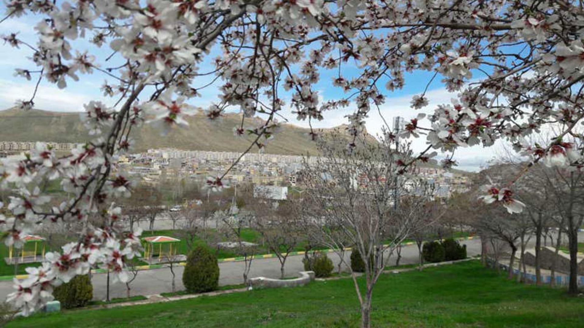 چال تپه