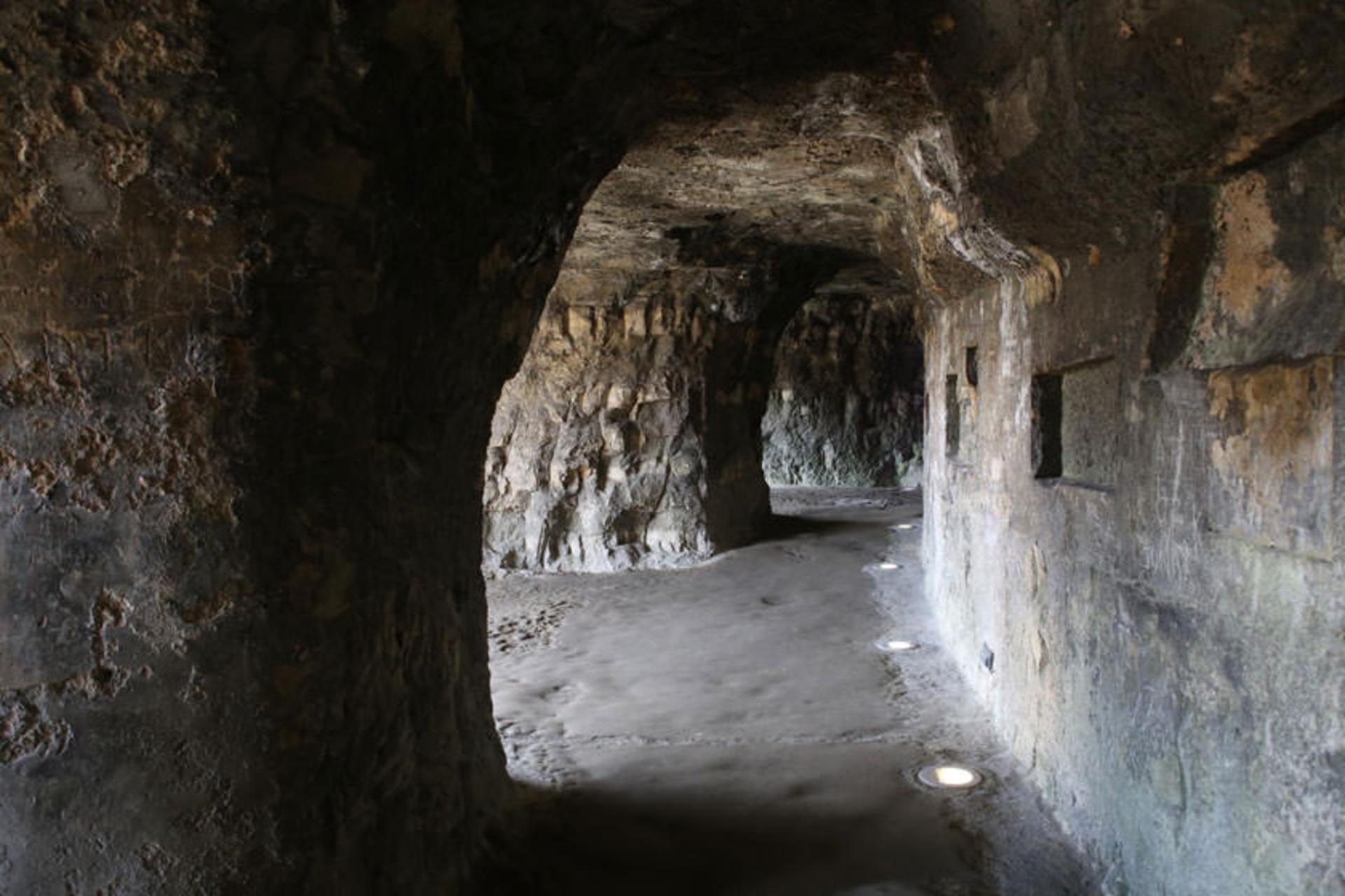 پناهگاه بوک