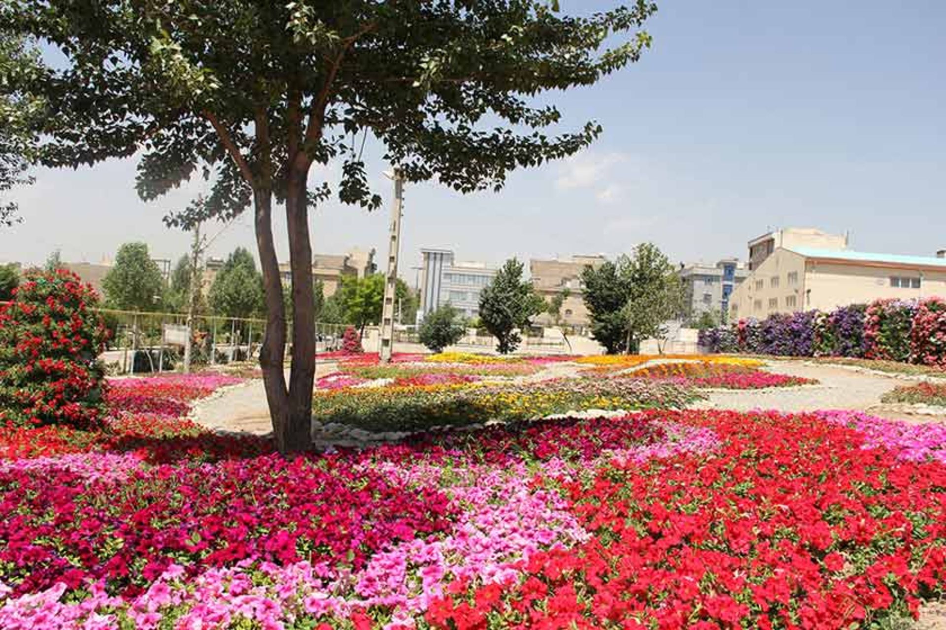 محلات