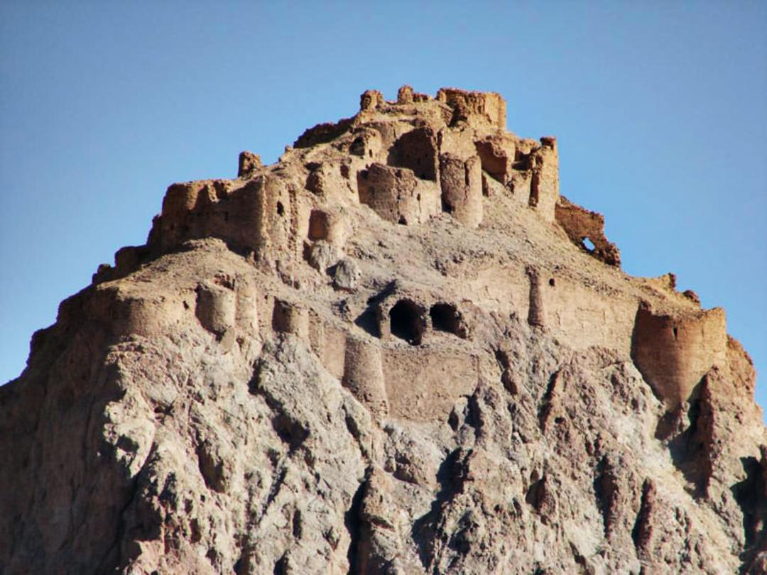 داوددختر