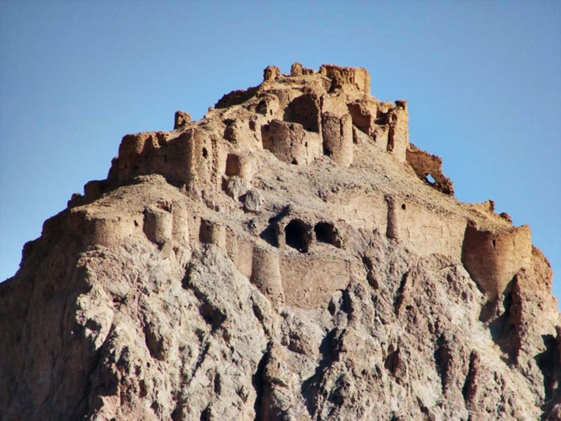 داوددختر