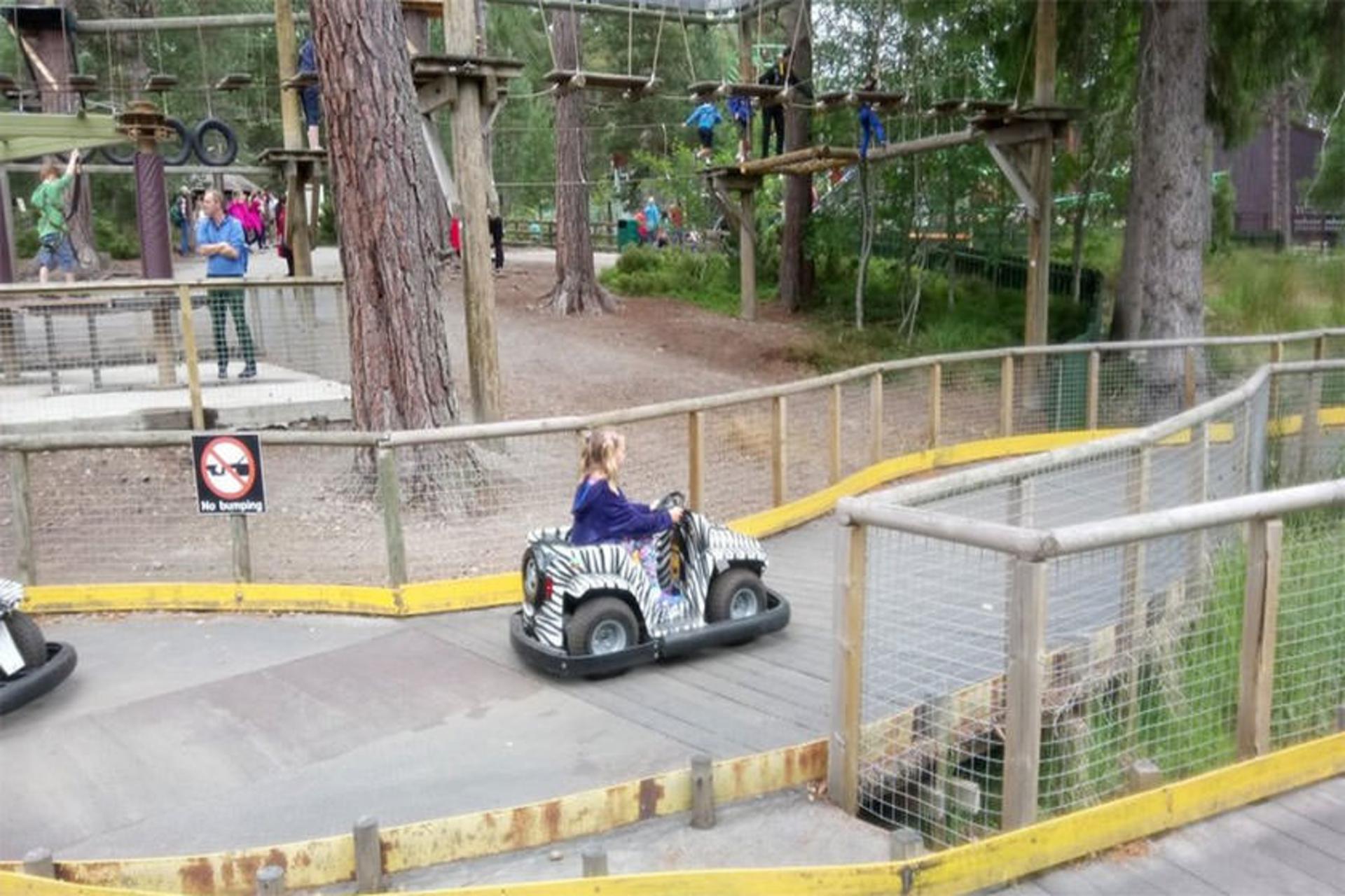 Landmark Forest Adventure Park