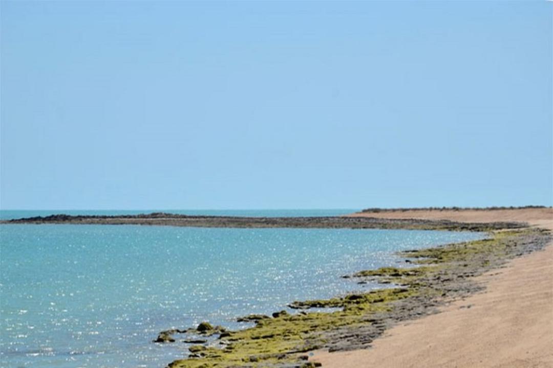 جزیره ام الکرم