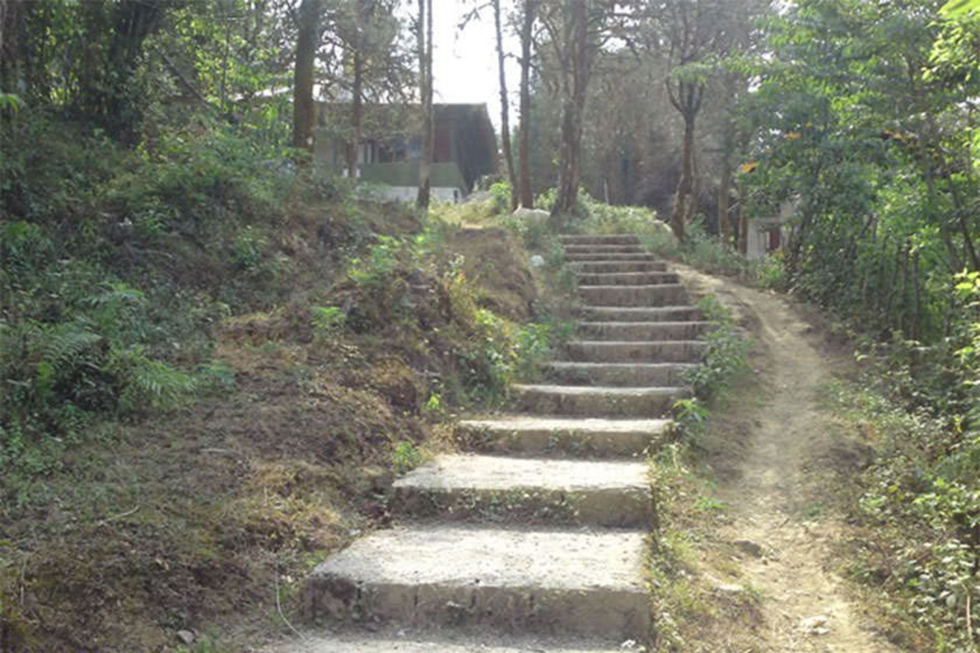 امامزاده مصطفی