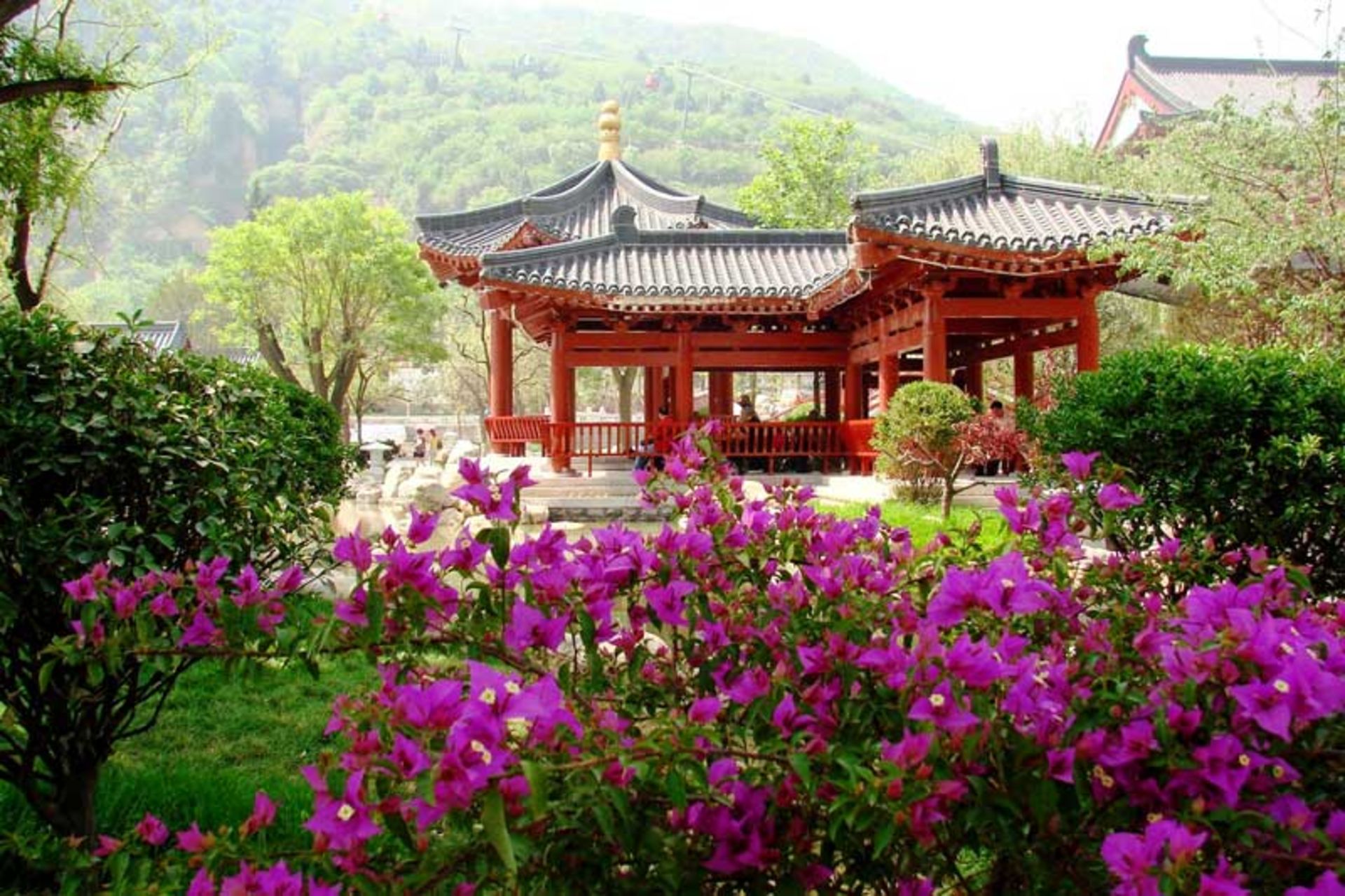 راهنمای تحصیل در چین