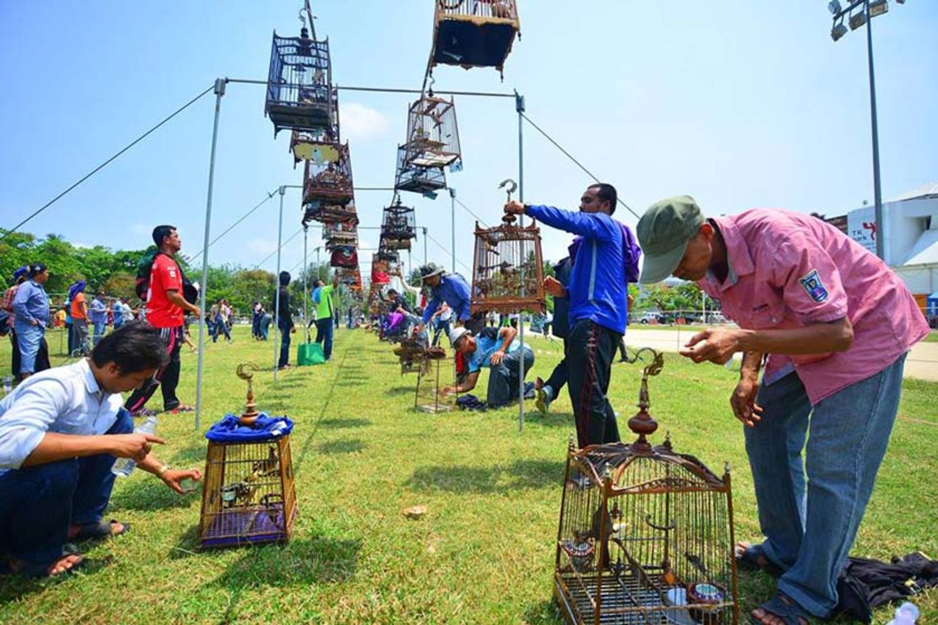 پارک سوان خوان موانگ