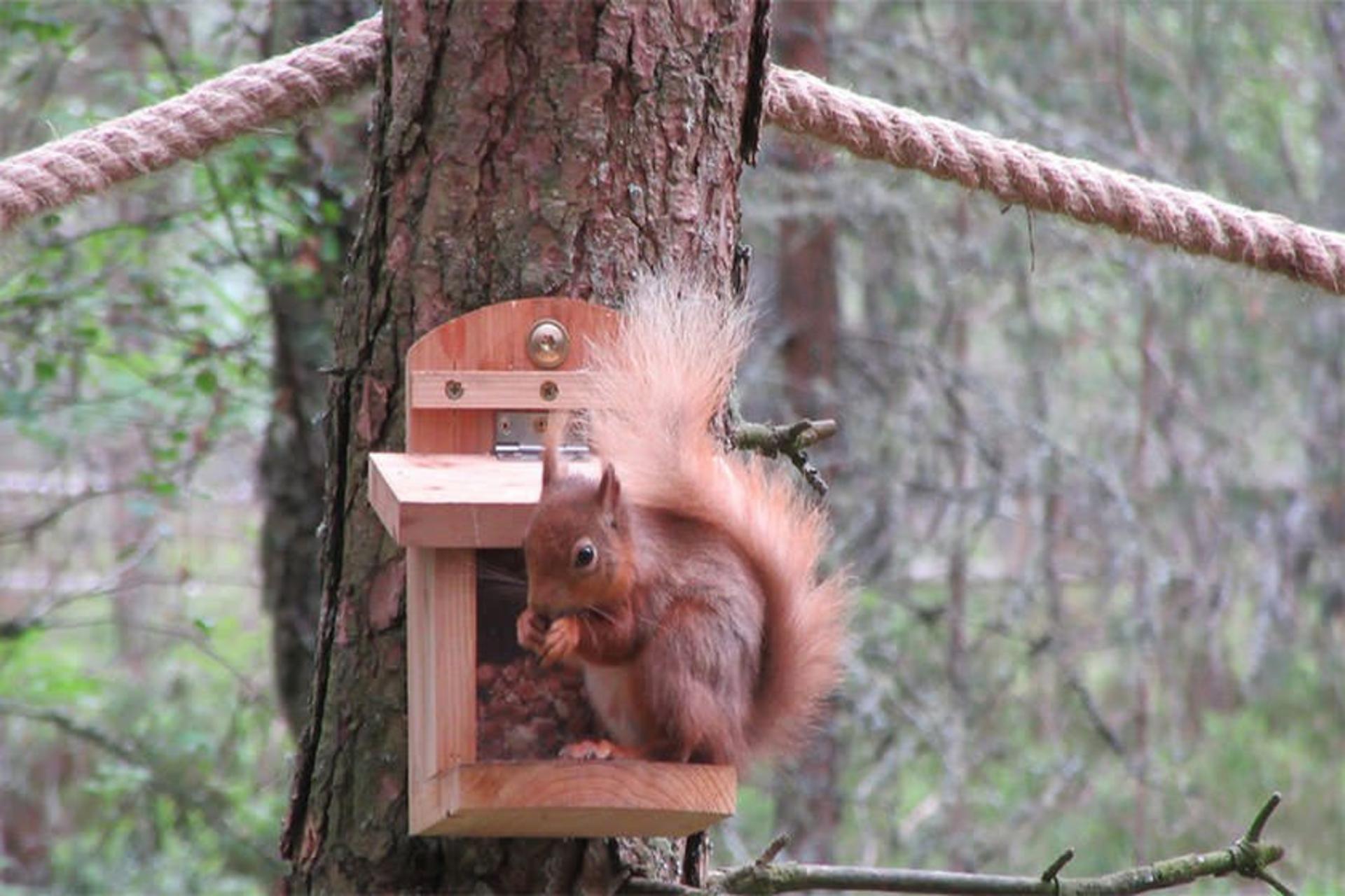 Landmark Forest Adventure Park