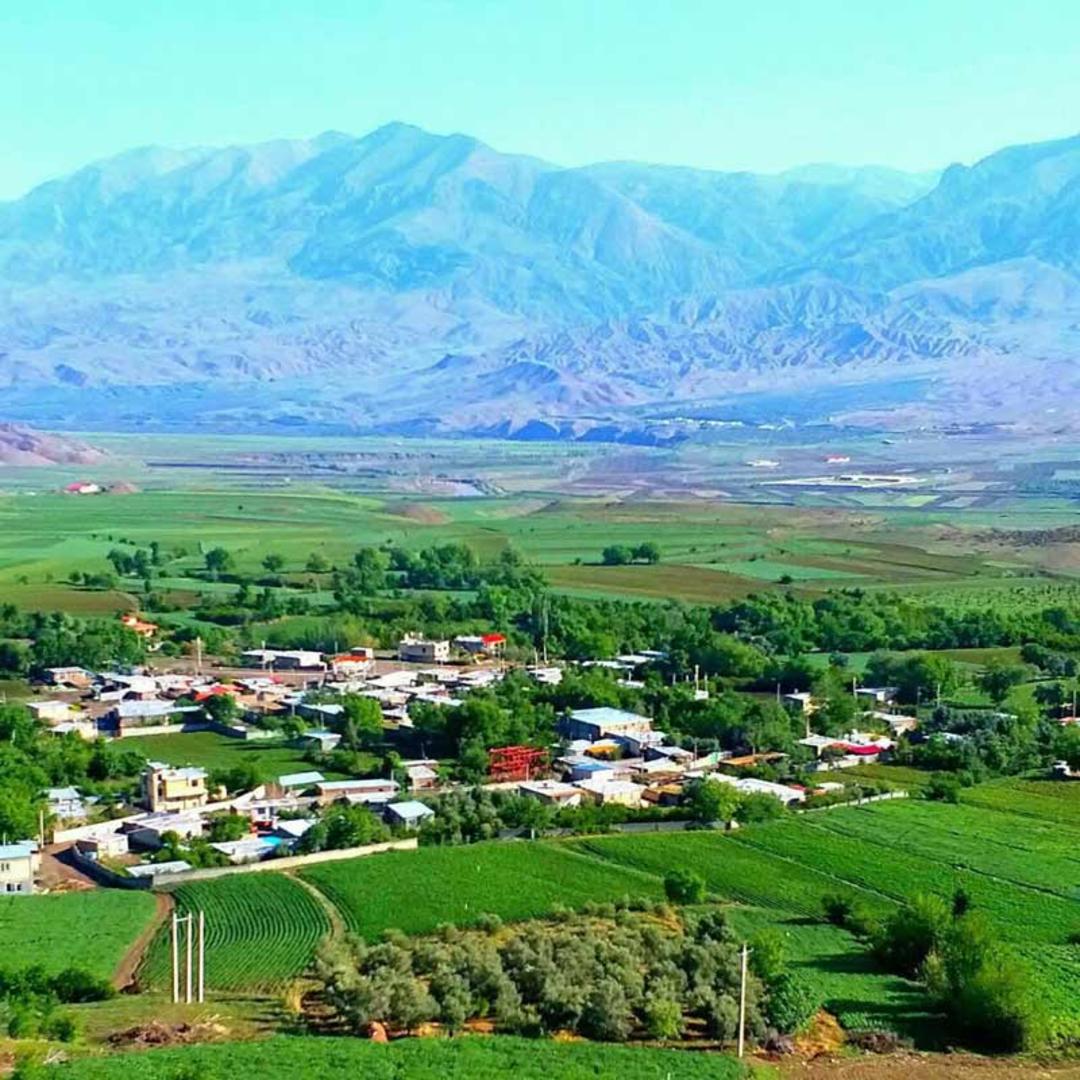 طارم