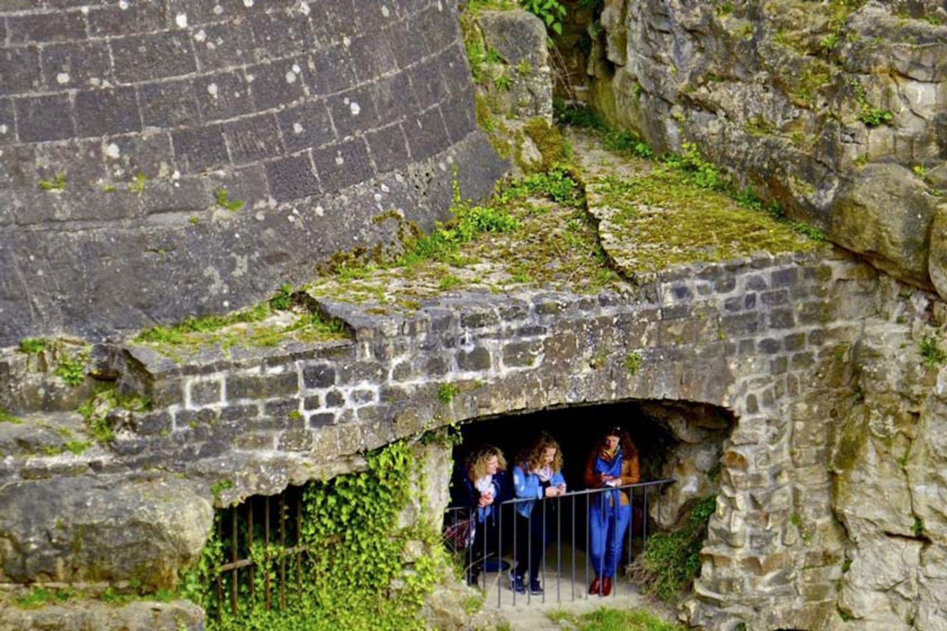 پناهگاه بوک