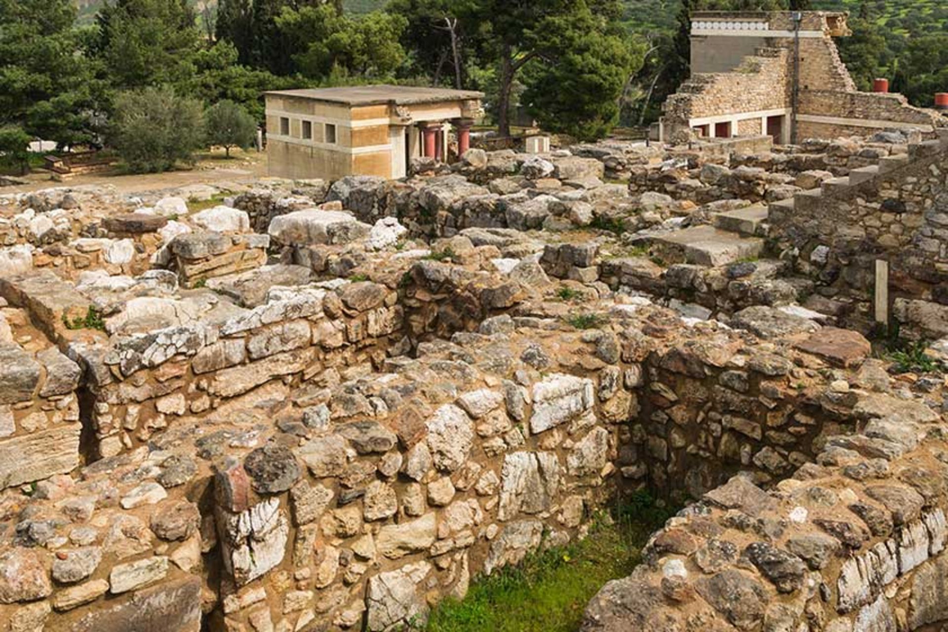کنوسوس