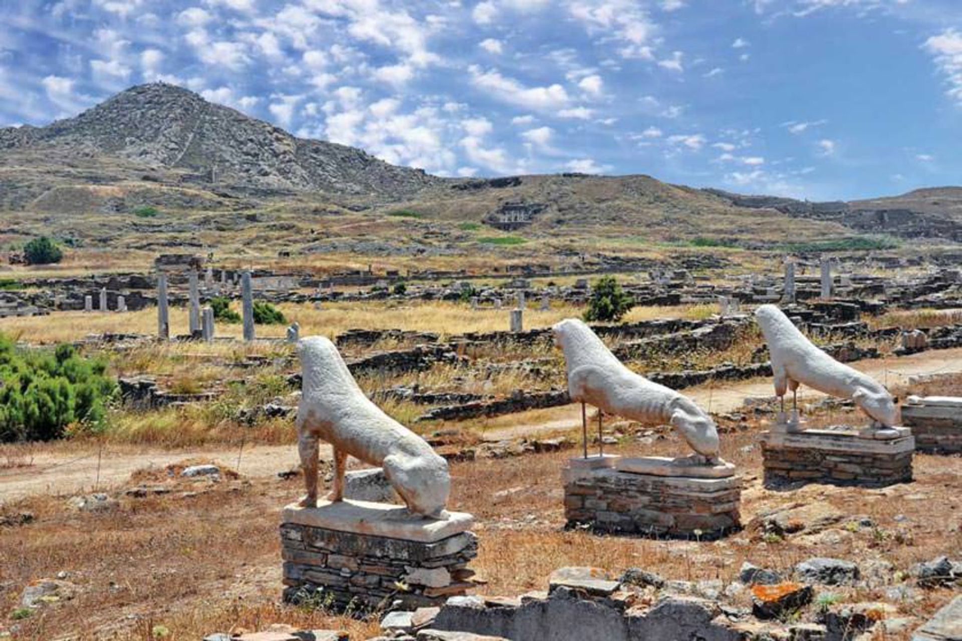 تراس شیرها
