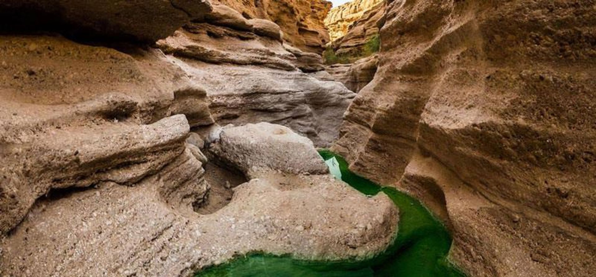 کال جنی طبس