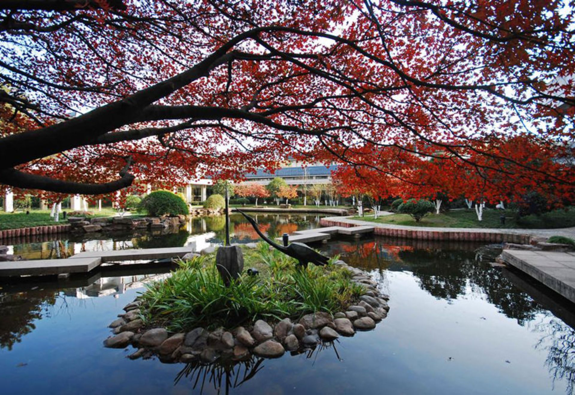 هتل دراگون هانگزو (The Dragon Hotel Hangzhou)