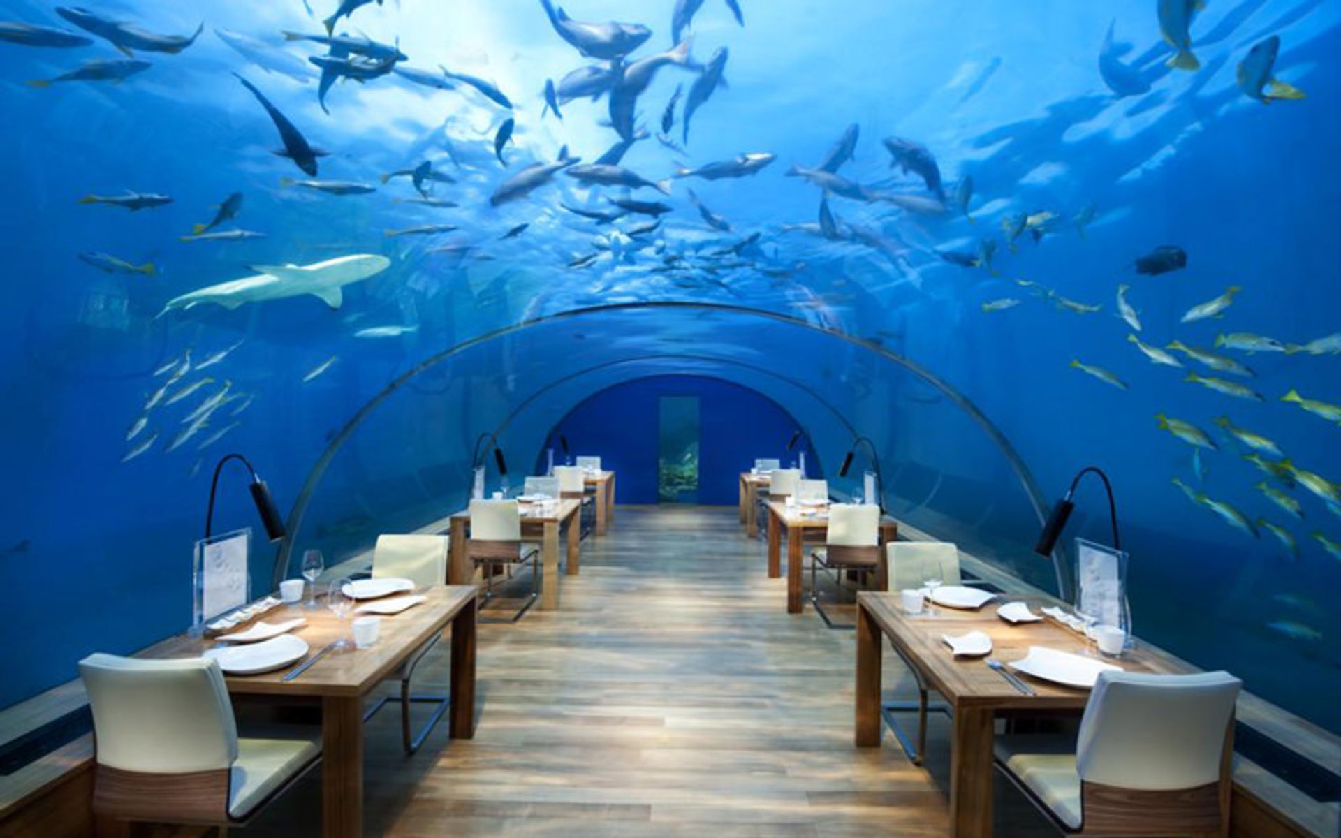 هتل کنراد مالدیو رانگالی آیلند (Conrad Maldives Rangali Island)
