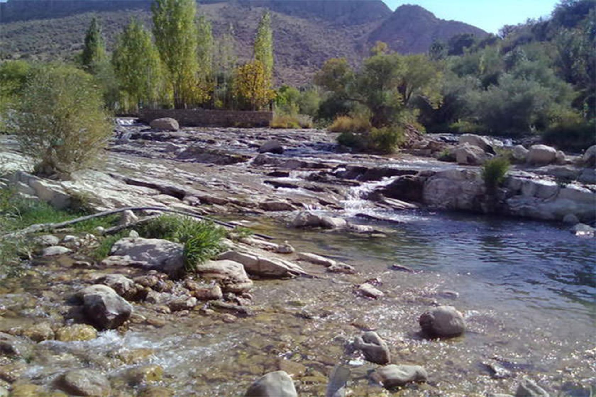 تنگ تیزاب