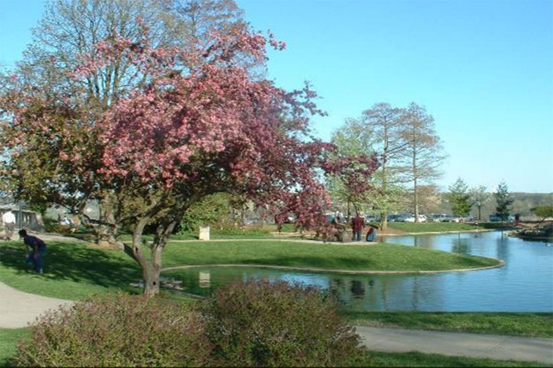 Eden Park
