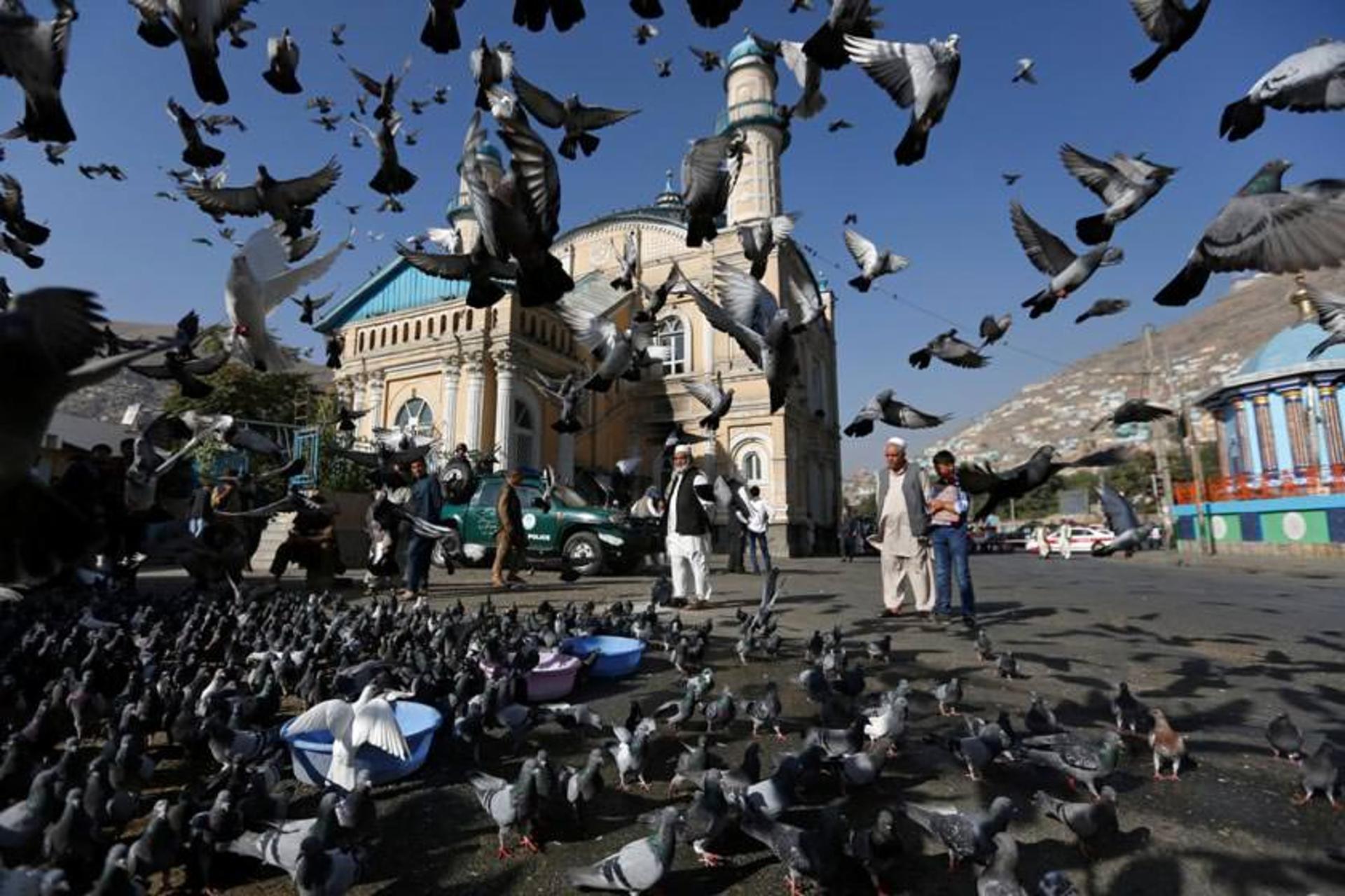 دایرکتوری افغانستان